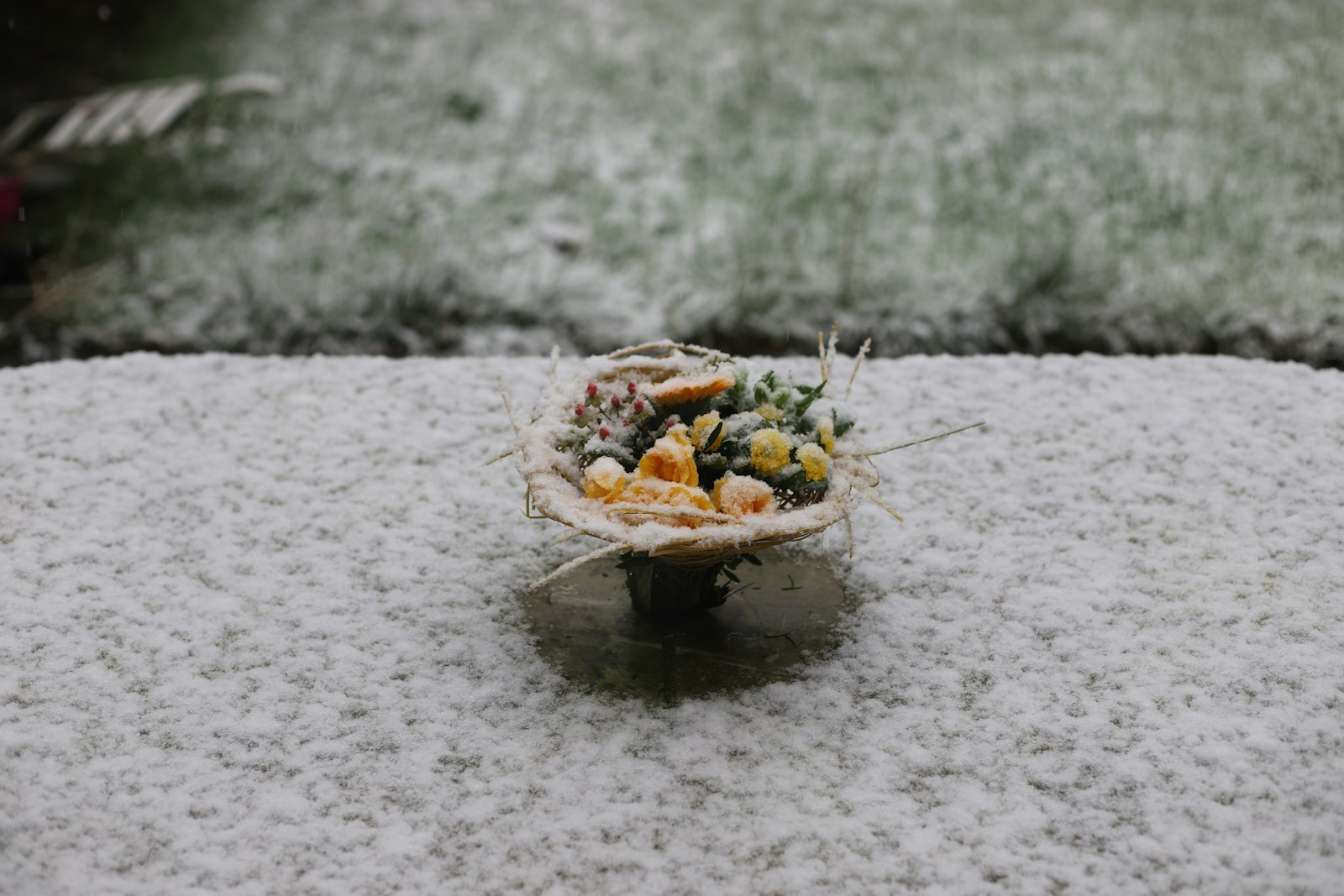 Mastering the Grocery Budget: Food Items Even the Savviest Frugal Shopper Refuses to Buy Cheap